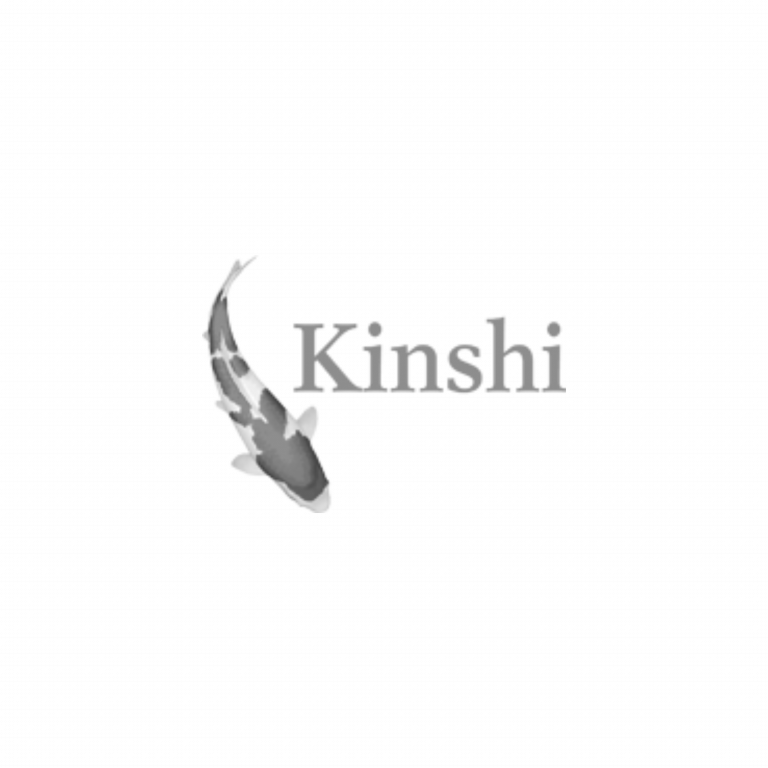 Kinshi